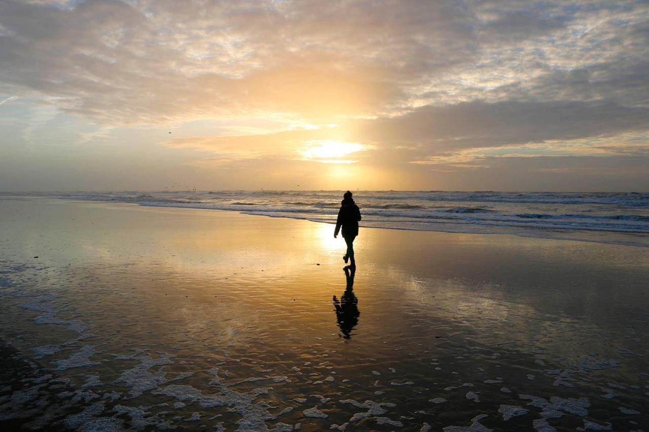 @54 Lägenhet Zandvoort Exteriör bild